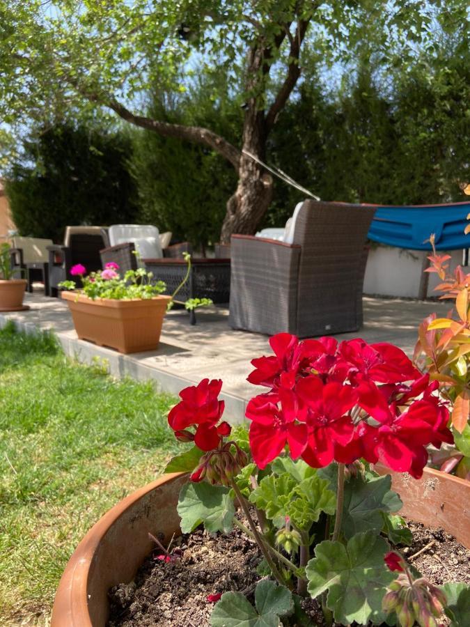 Safak Apart&Hotel Dalyan Bagian luar foto